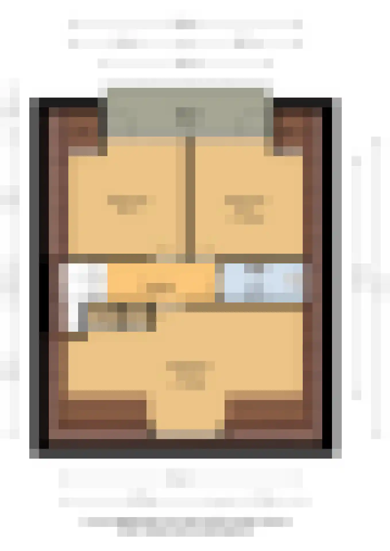 Skilpaed 20 Dronryp thumbnail 39