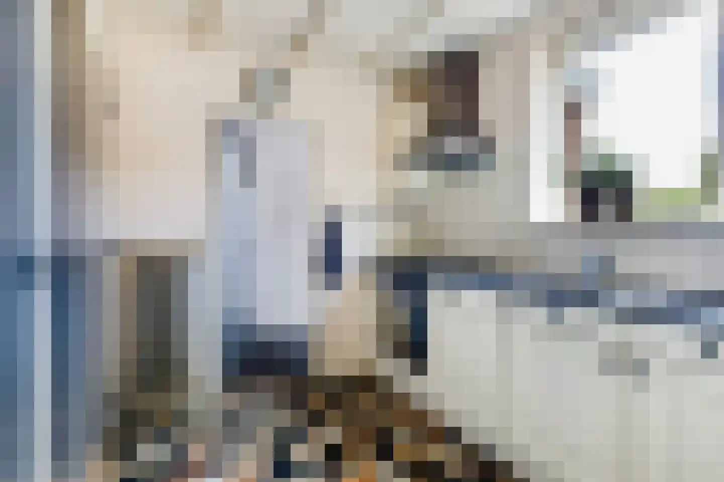 Skilpaed 20 Dronryp thumbnail 4