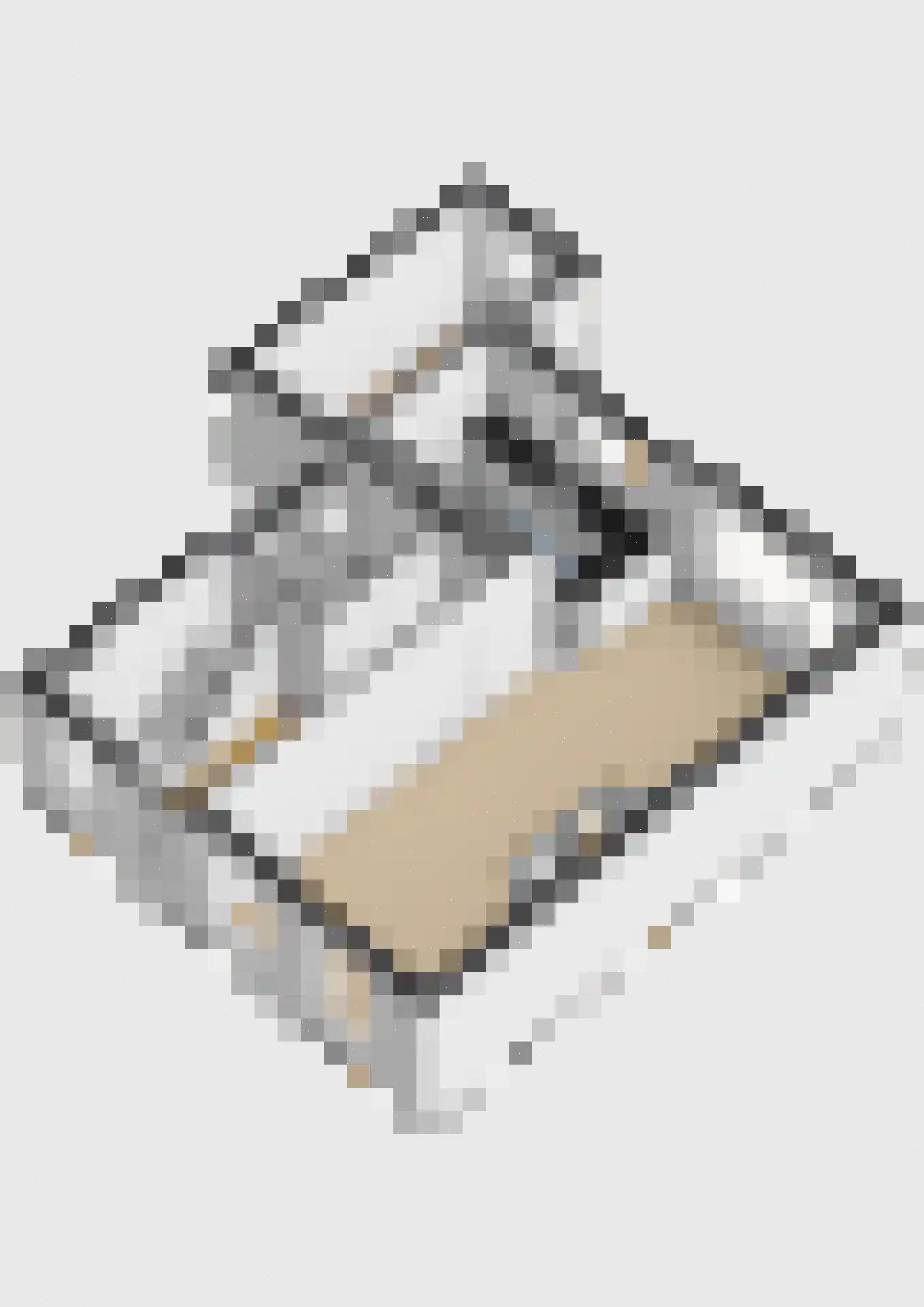Skilpaed 20 Dronryp thumbnail 42