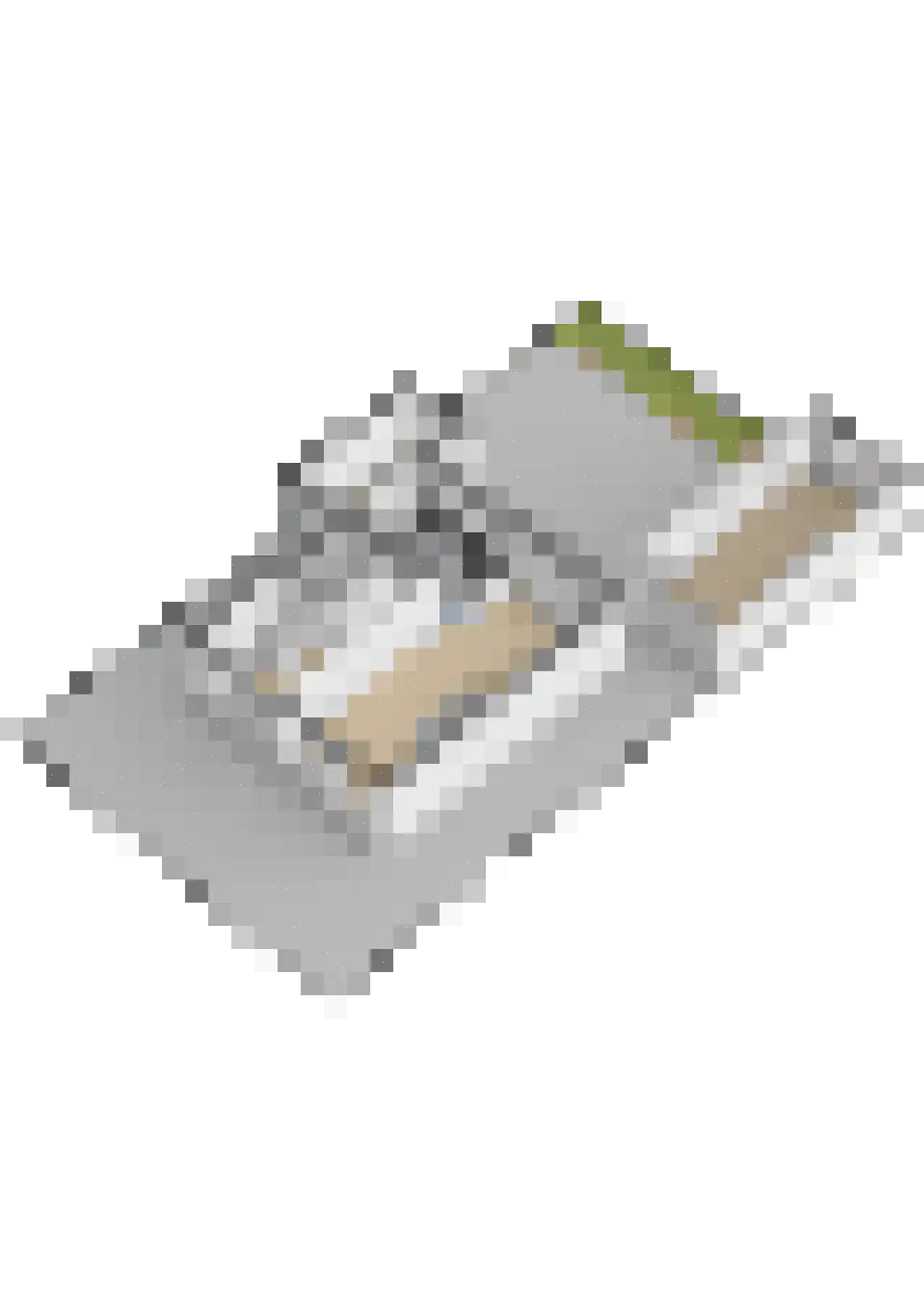 Skilpaed 20 Dronryp thumbnail 45