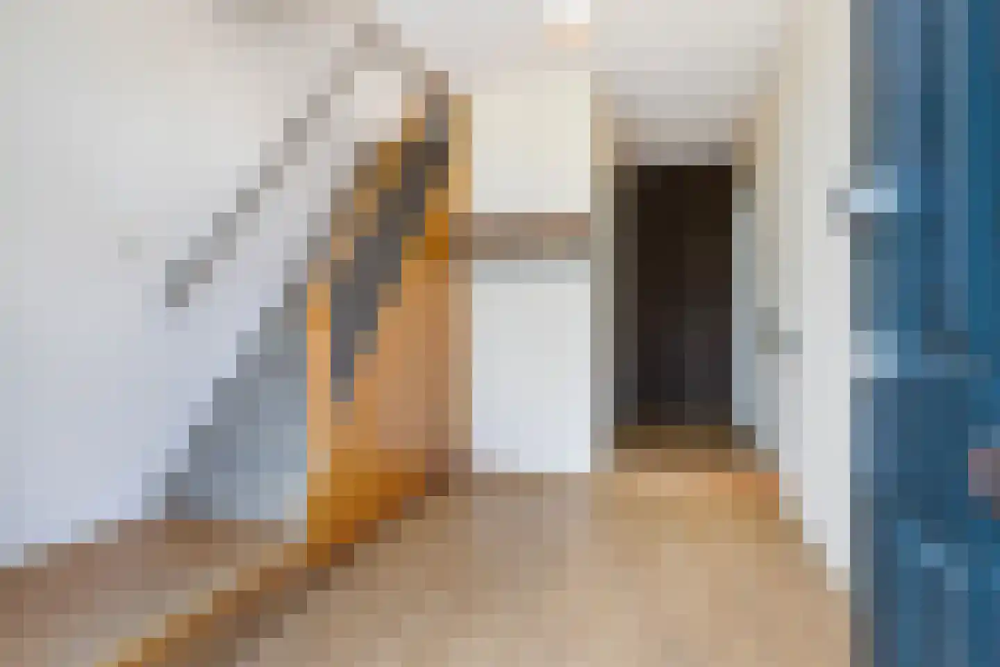 Skilpaed 20 Dronryp thumbnail 7
