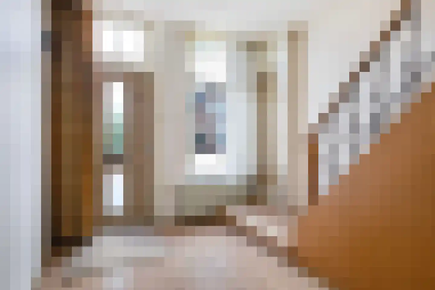 Skilpaed 20 Dronryp thumbnail 8