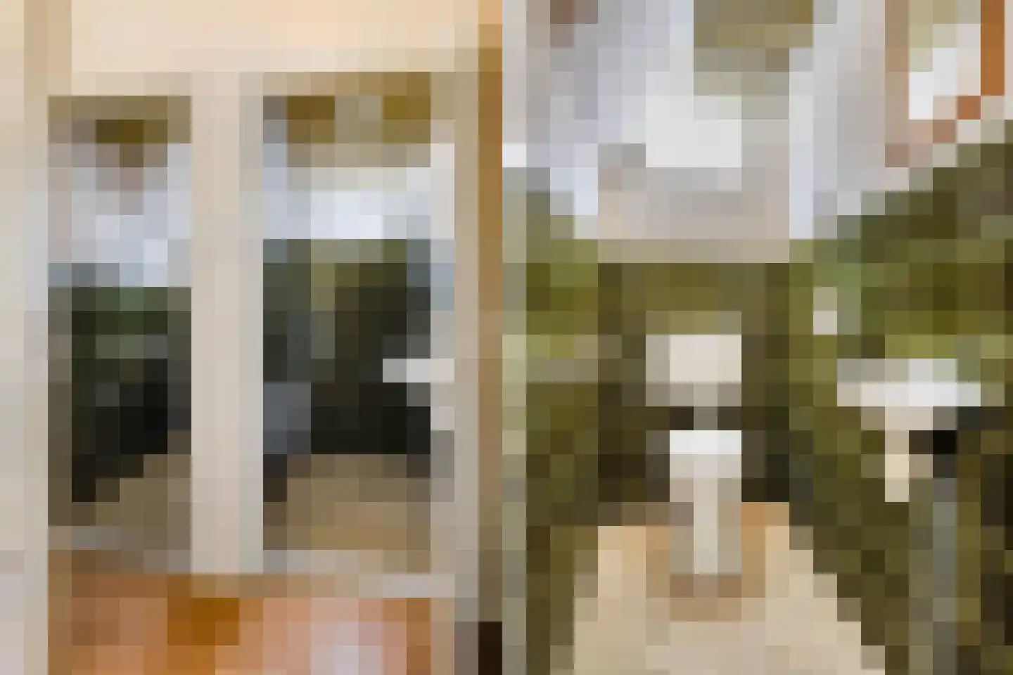 Skilpaed 20 Dronryp thumbnail 9