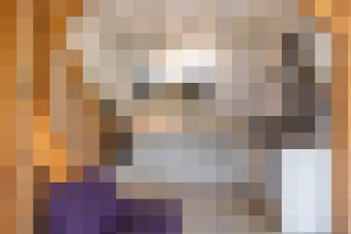 Skilpaed 3 Menaam thumbnail 10