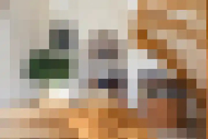 Skilpaed 3 Menaam thumbnail 11