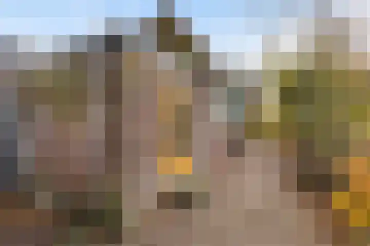 Skilpaed 3 Menaam thumbnail 17