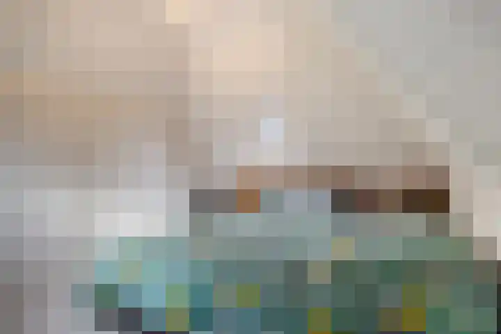 Skilpaed 3 Menaam thumbnail 19
