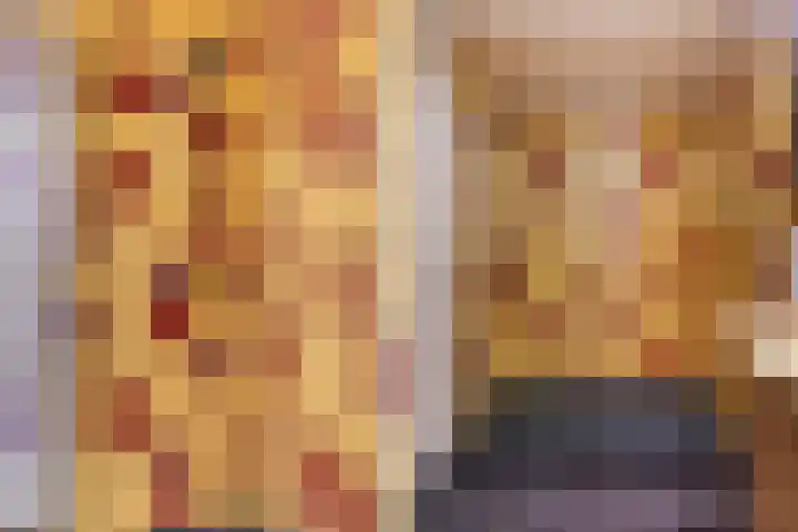 Skilpaed 3 Menaam thumbnail 22