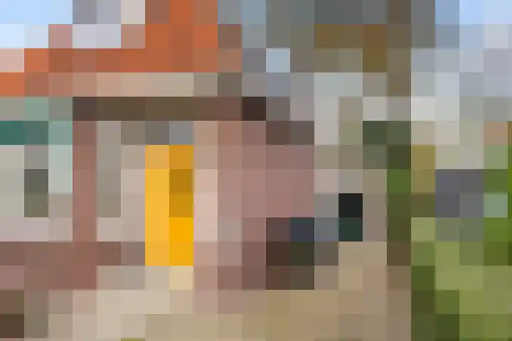 Skilpaed 3 Menaam thumbnail 25