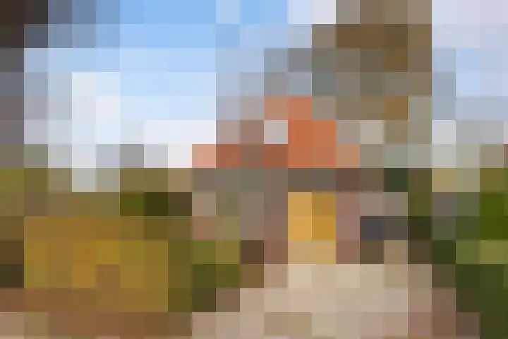 Skilpaed 3 Menaam thumbnail 26
