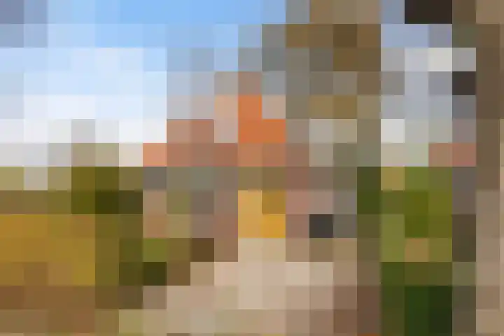 Skilpaed 3 Menaam thumbnail 27