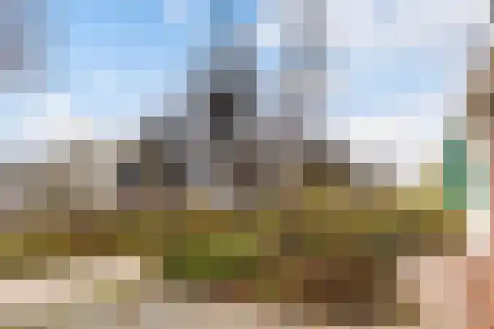 Skilpaed 3 Menaam thumbnail 28