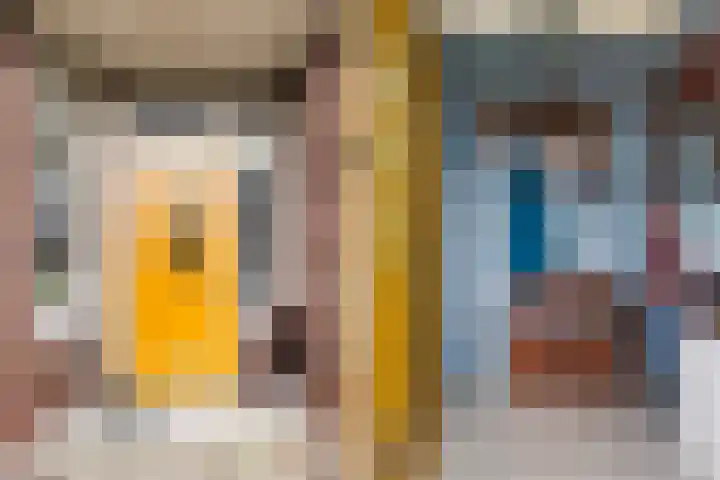 Skilpaed 3 Menaam foto 3