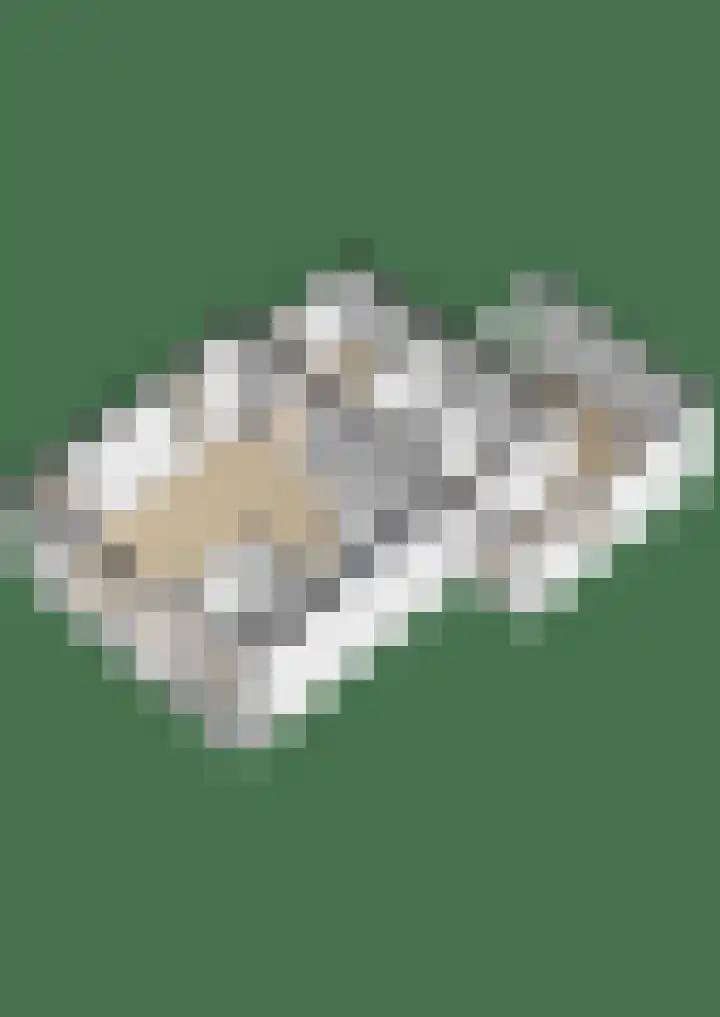 Skilpaed 3 Menaam thumbnail 33