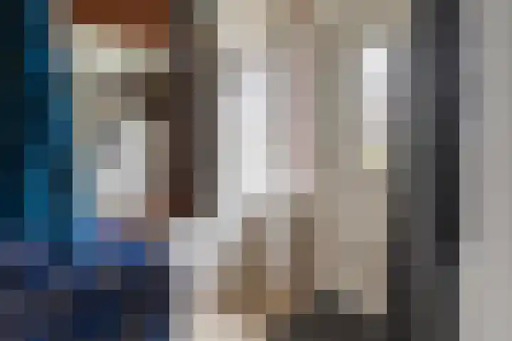 Skilpaed 3 Menaam thumbnail 4