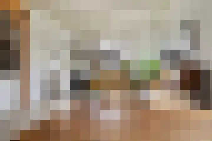 Skilpaed 3 Menaam thumbnail 6