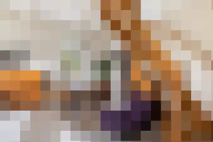 Skilpaed 3 Menaam thumbnail 8