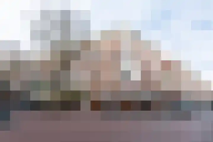 Skilpaed 3 Menaam thumbnail 9