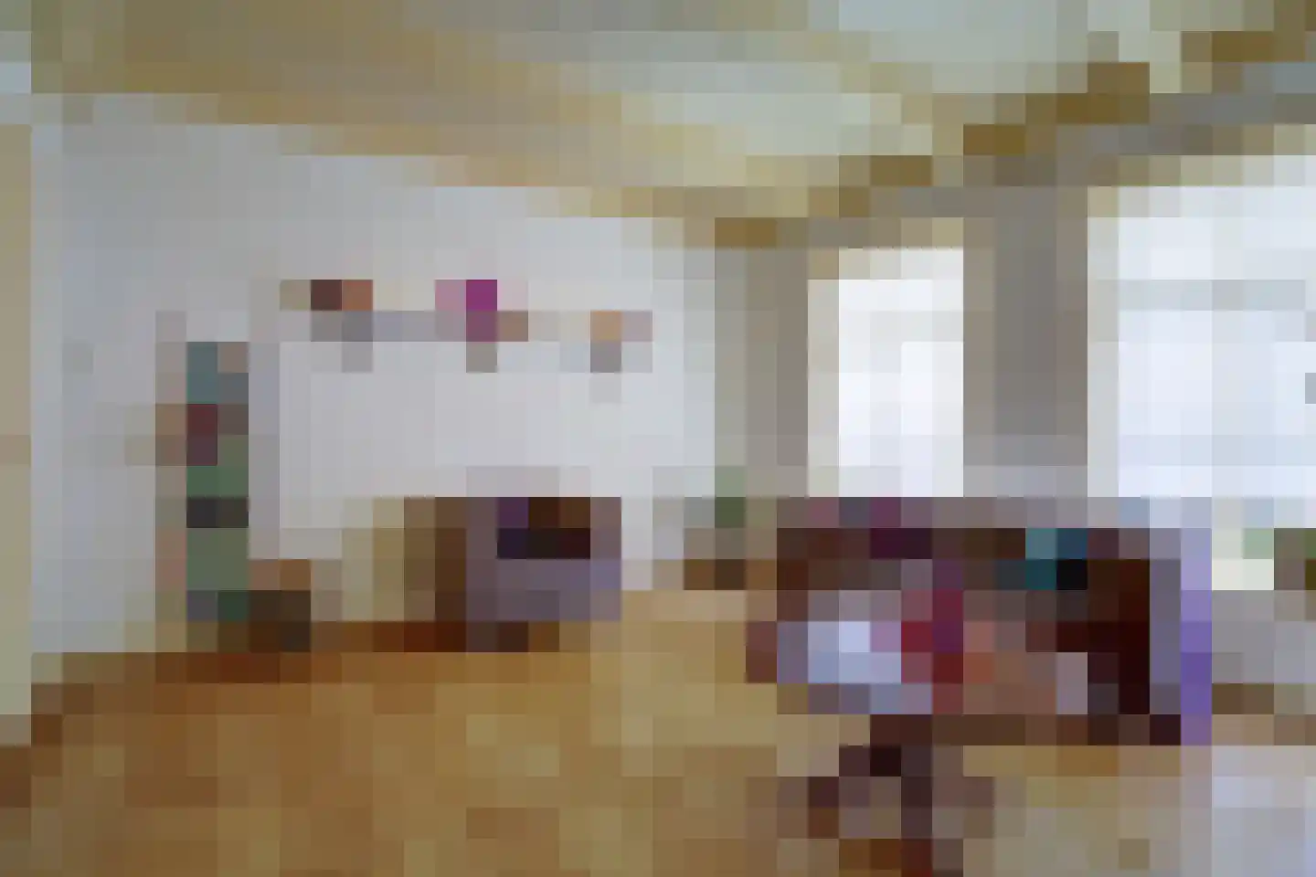 Skilpaed 31 Dronryp thumbnail 10