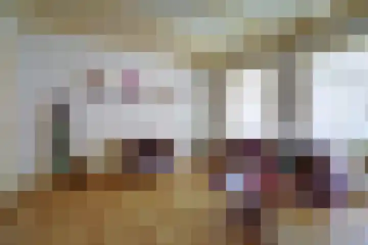 Skilpaed 31 Dronryp thumbnail 10