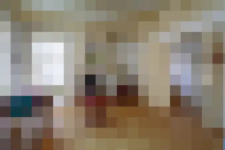 Skilpaed 31 Dronryp thumbnail 11