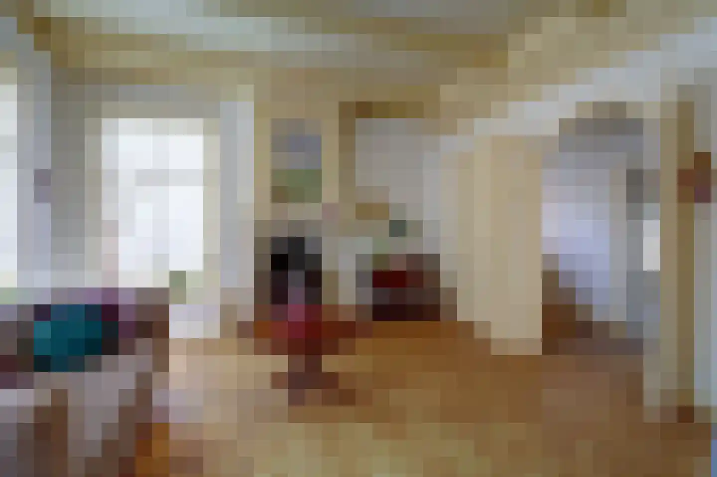 Skilpaed 31 Dronryp thumbnail 11