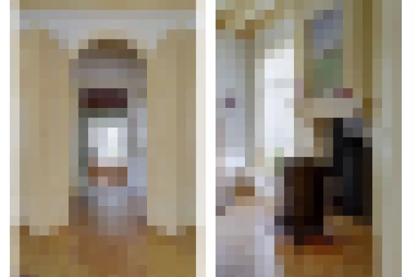 Skilpaed 31 Dronryp thumbnail 12