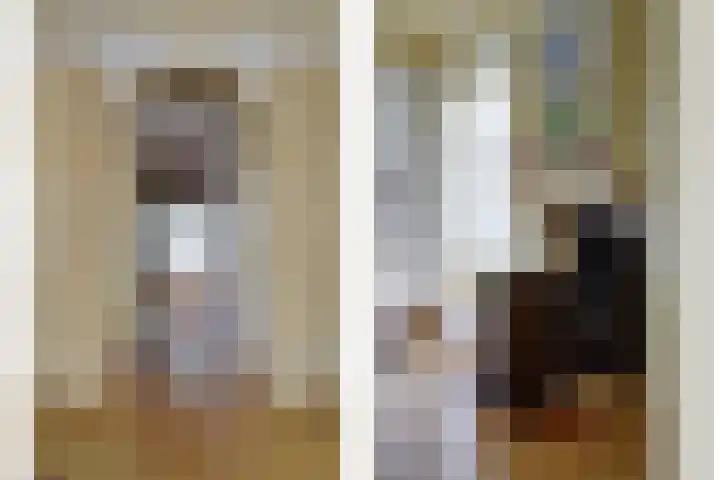 Skilpaed 31 Dronryp thumbnail 12