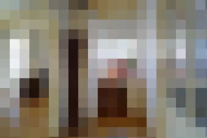Skilpaed 31 Dronryp thumbnail 13
