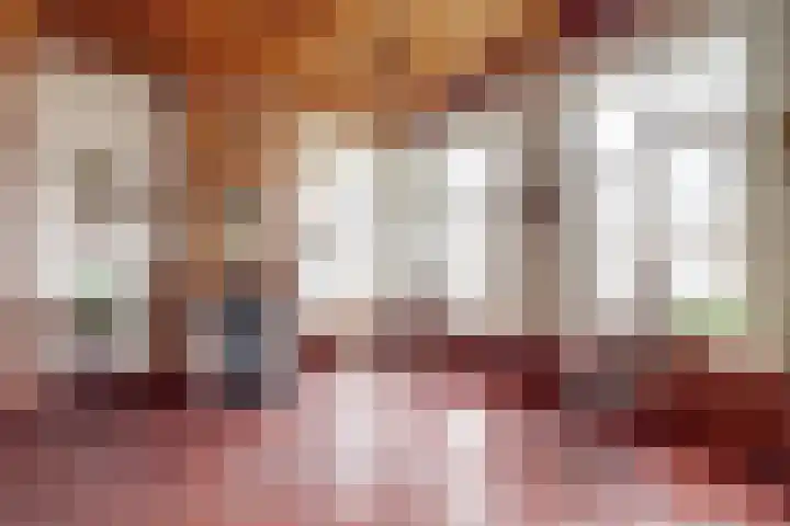 Skilpaed 31 Dronryp thumbnail 14