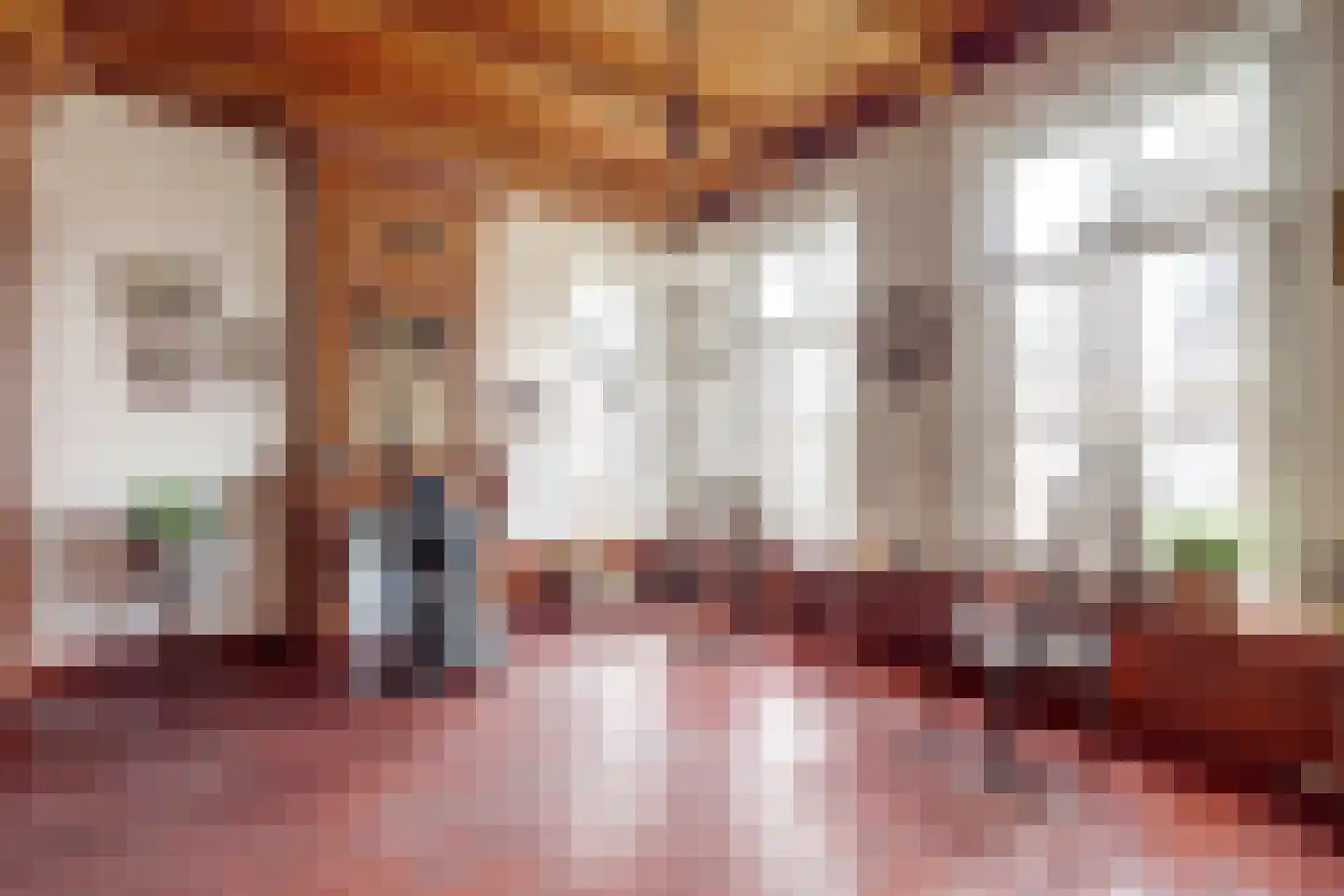 Skilpaed 31 Dronryp thumbnail 14