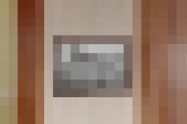 Skilpaed 31 Dronryp thumbnail 15