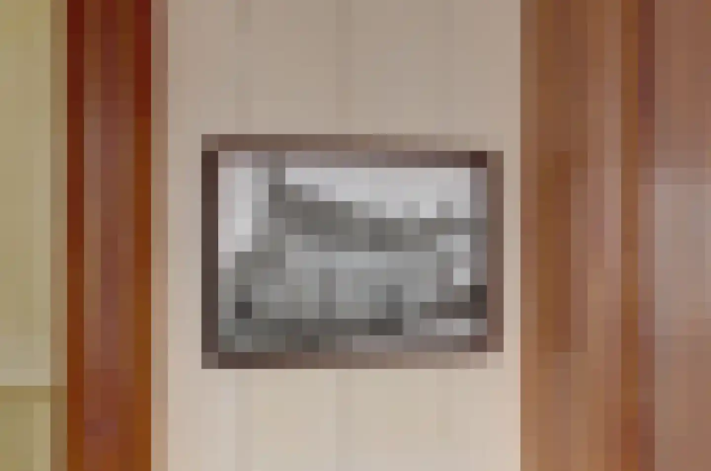 Skilpaed 31 Dronryp thumbnail 15