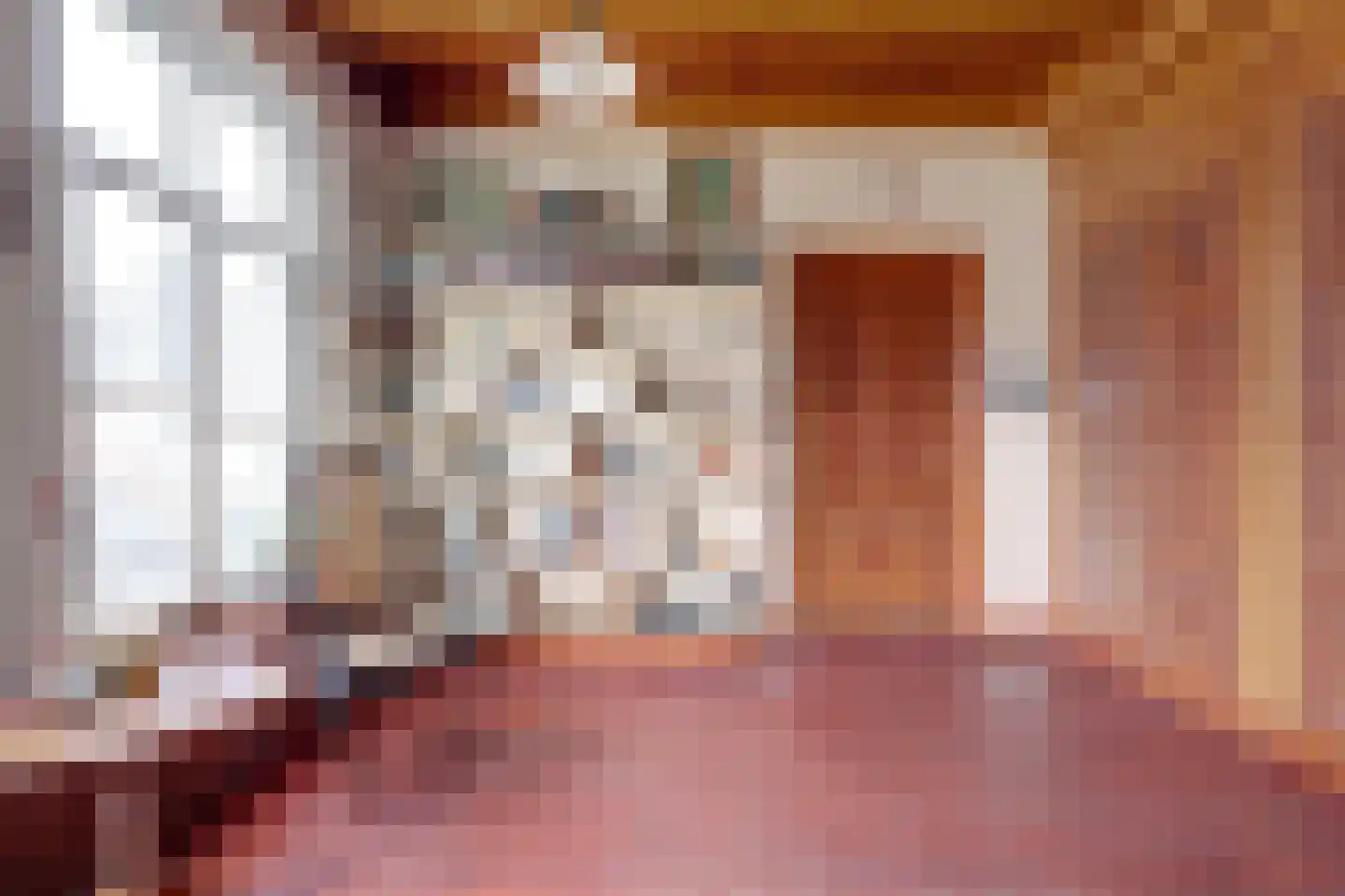 Skilpaed 31 Dronryp thumbnail 16