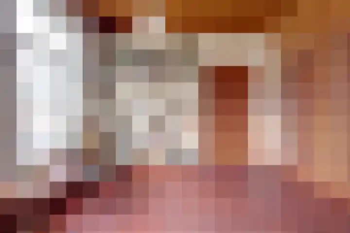 Skilpaed 31 Dronryp thumbnail 16