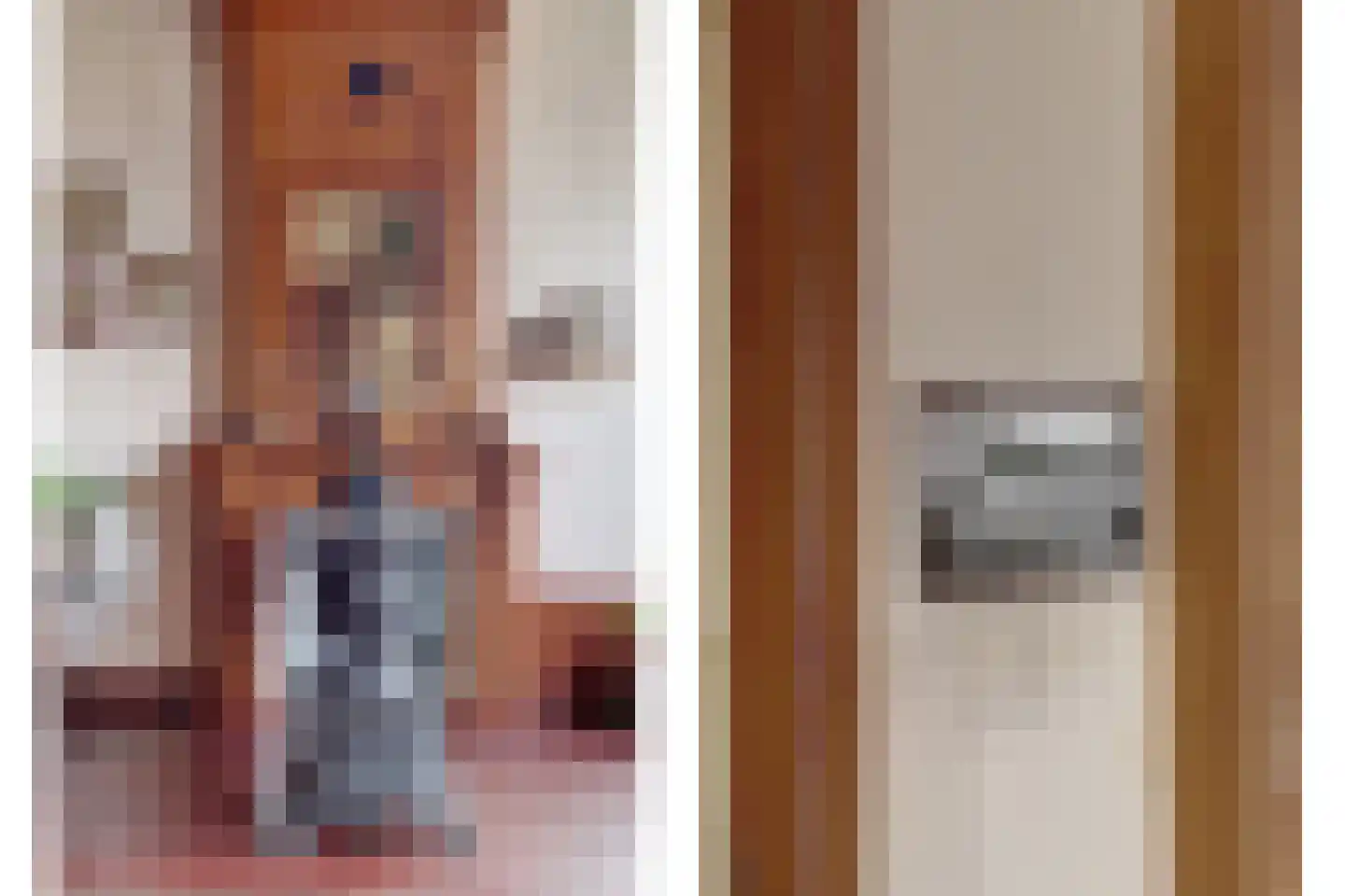 Skilpaed 31 Dronryp thumbnail 17