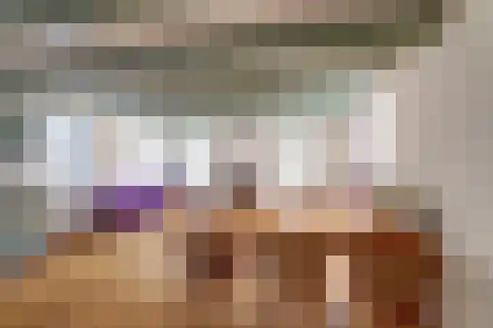 Skilpaed 31 Dronryp thumbnail 18