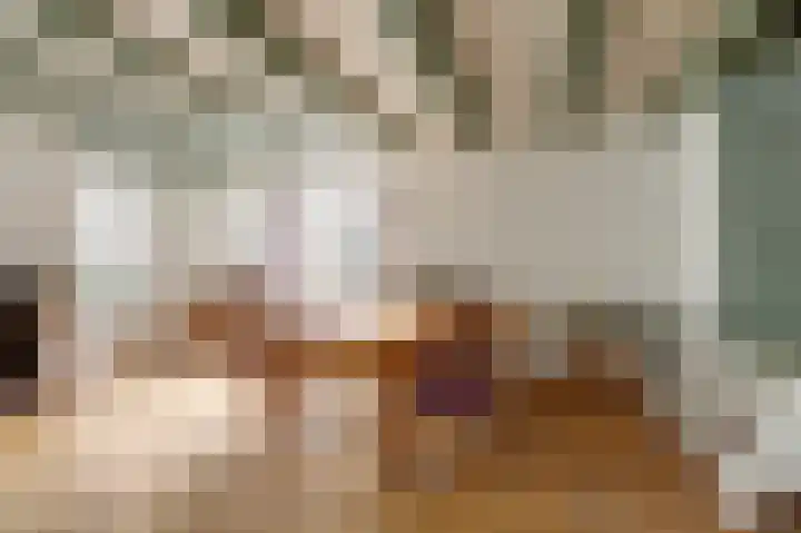Skilpaed 31 Dronryp thumbnail 19