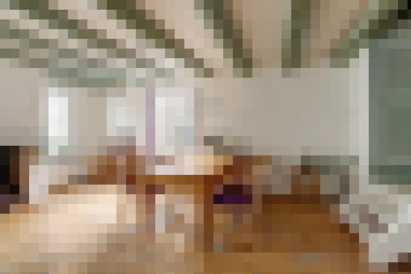 Skilpaed 31 Dronryp thumbnail 19