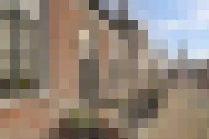 Skilpaed 31 Dronryp foto 2
