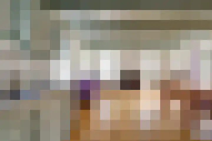 Skilpaed 31 Dronryp thumbnail 20