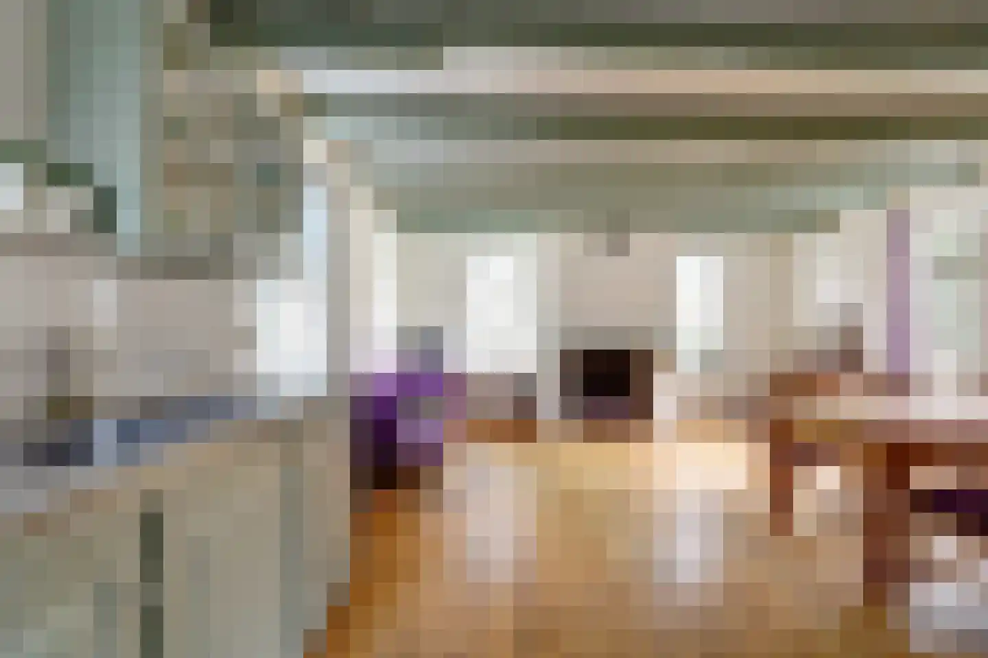 Skilpaed 31 Dronryp thumbnail 20