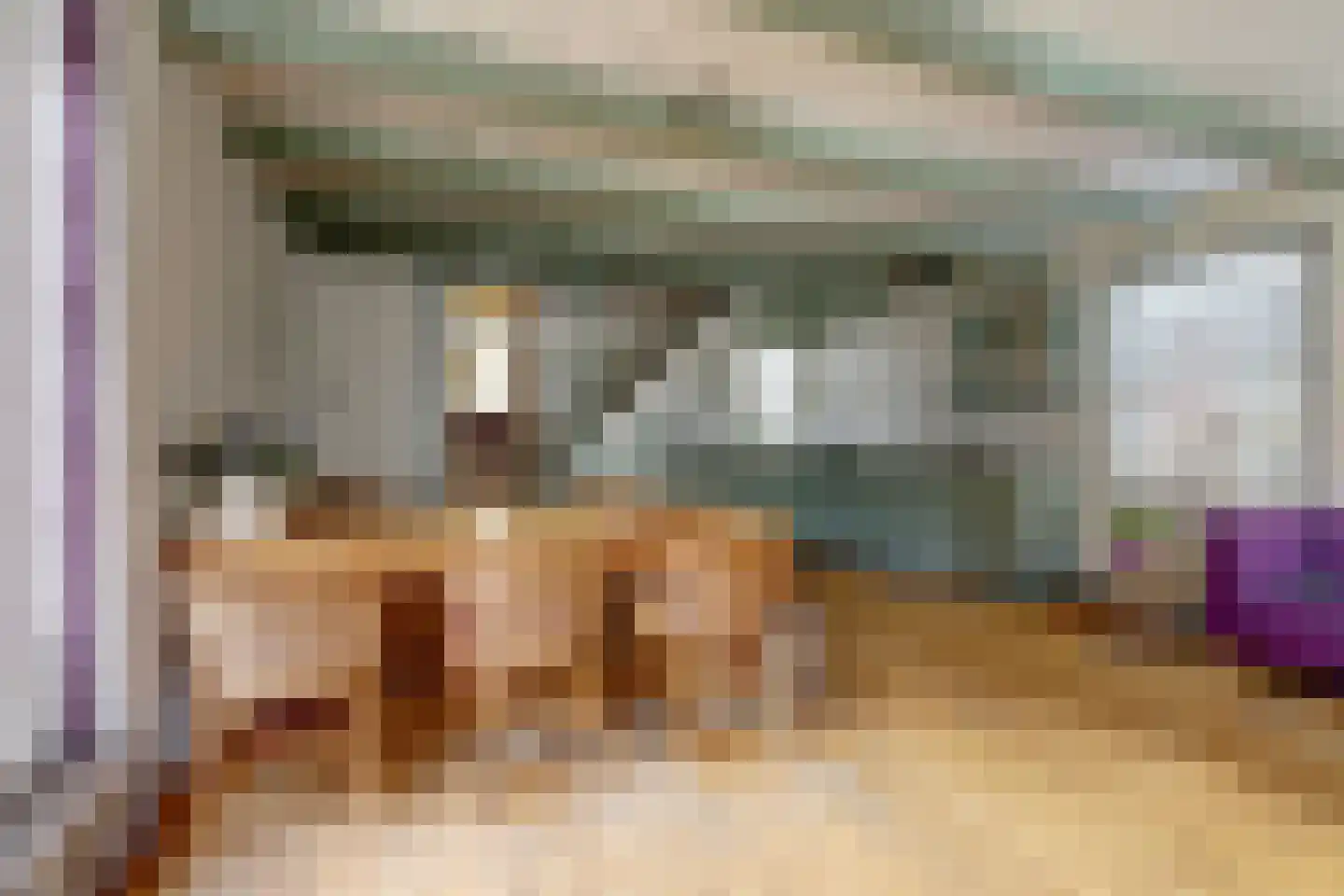 Skilpaed 31 Dronryp thumbnail 21