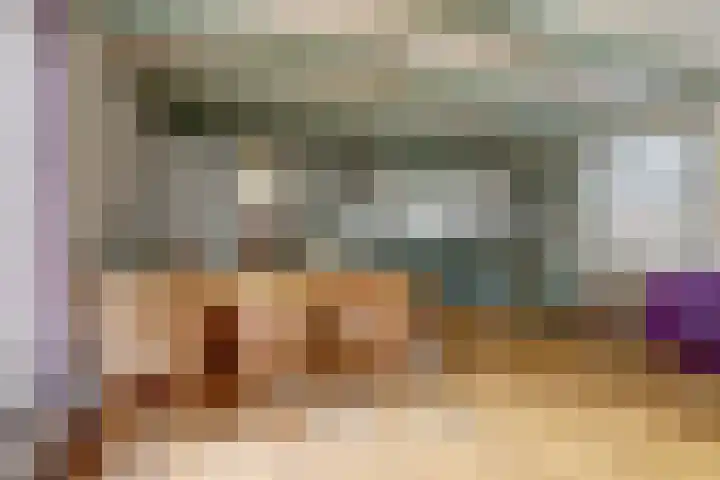 Skilpaed 31 Dronryp thumbnail 21