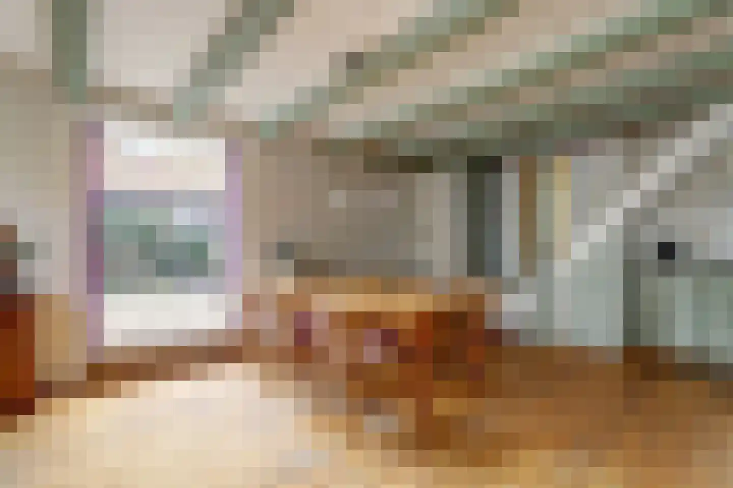 Skilpaed 31 Dronryp thumbnail 22