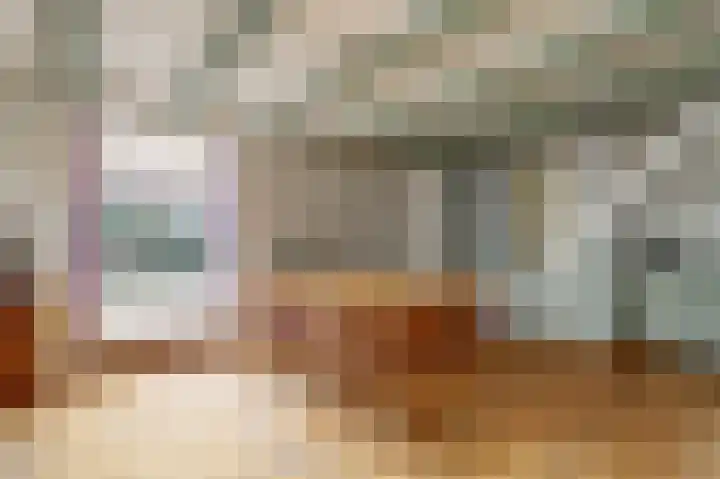 Skilpaed 31 Dronryp thumbnail 22