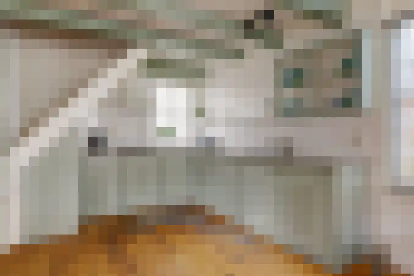 Skilpaed 31 Dronryp thumbnail 23