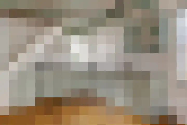 Skilpaed 31 Dronryp thumbnail 23