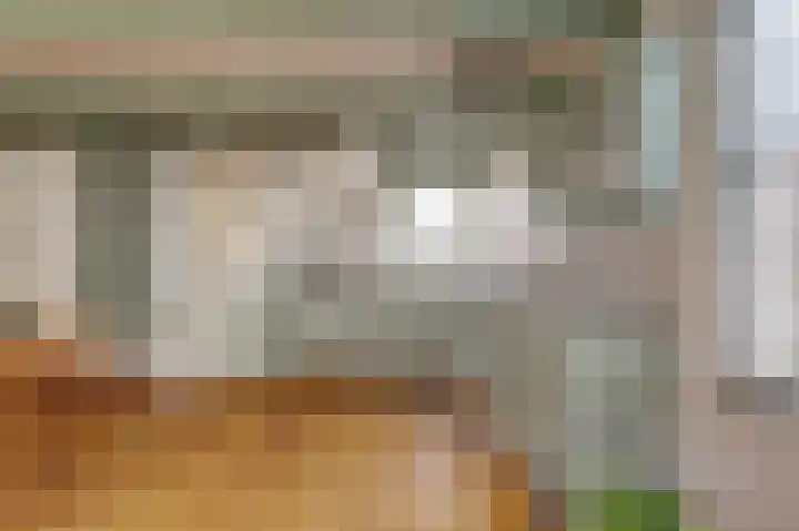 Skilpaed 31 Dronryp thumbnail 24
