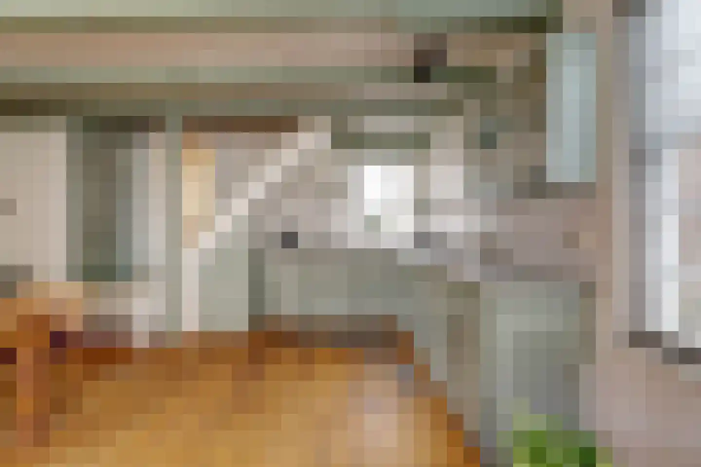 Skilpaed 31 Dronryp thumbnail 24